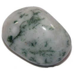 Tree Agate Tumble Stone 